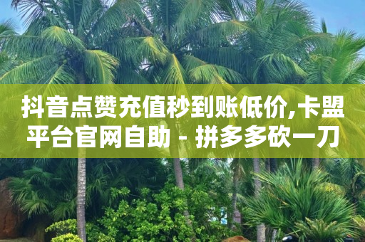 刷qq超级会员的软件,赚多多看广告赚钱安全吗,短视频推广渠道和做法 -拼多多业务平台