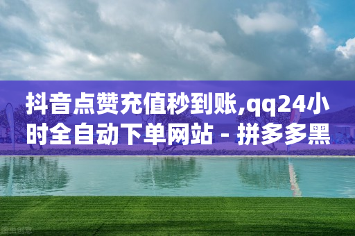 24小时在线下单商城,抖音粉丝灯牌等级对照表,引流神器是什么意思 -美团扫码点餐