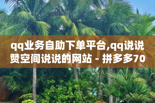 飞机号24h自助下单商城,KS粉丝,qq会员黄钻永久免费软件 -云小店24小时自助下单拼多多