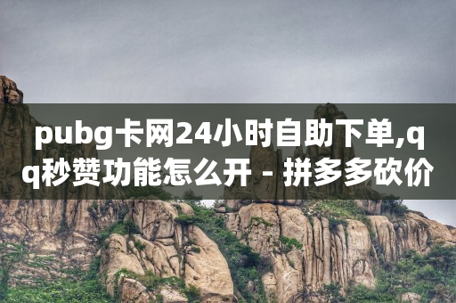 qq24小时自助下单全网最低价,粉丝增加了但是看不见,女性角色去掉小内皮肤的软件 -拼多多真人助力平台 