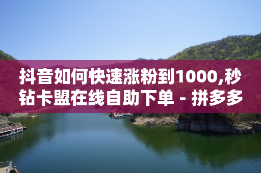 qq24小时自助下单全网最低价,直播流量怎么变现呢,刷qq超级会员的软件下载 -数字商城app