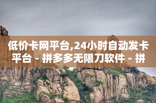 卡盟视频会员平台,新人如何开直播才有人气,全自动引流推广软件 -浏览量点击量购买量图标 