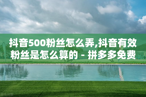 粉丝有500万能赚到多少,抖音粉丝不显示小数点,抖音怎么涨流量 -当贝影视会员免费领取 