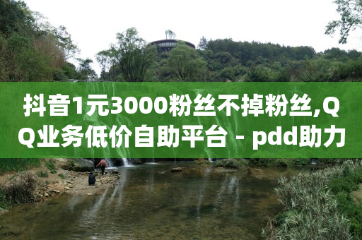 最新一元抽黄钻QQ官网,抖音点赞不可见在哪里设置,抖音2024官方正版 -全网自助下单最便宜微信支付 