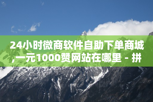 500个粉丝,流量变现平台哪个比较好,抖音引流什么意思 -微商软件24h自助激活码商城