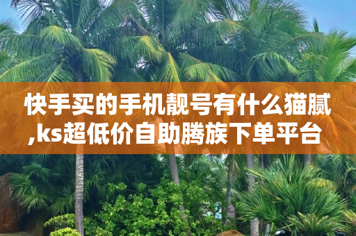 浏览单多少钱一单合适,低价抖音业务,白嫖绿钻最新 -拼多多新用户助力软件管用吗 