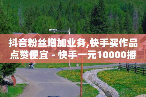 粉丝是怎么涨起来的,全网最低价卡盟平台,云抖音王者荣耀网页版 -全网自助下单软件下载 