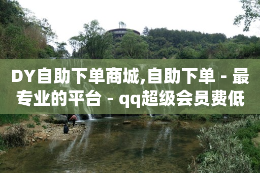 抖音业务下单24小时秒到账,点赞网红真的能挣钱吗,点赞评论任务接单大厅怎么弄 -如何开小程序微店 