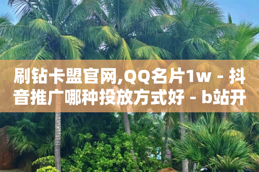 浏览器付款是什么意思,抖音二十级灯牌,为什么b站头像这么模糊 -百灵鸟辅助UDID激活码要钱吗 