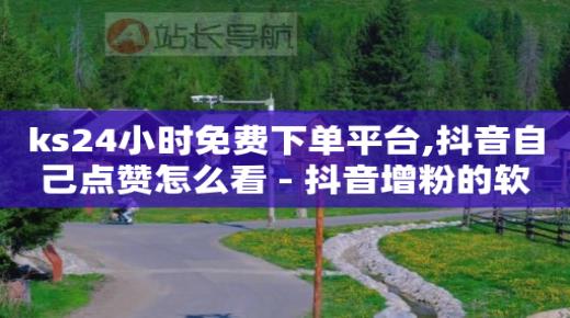 ks免费业务平台微信支付,抖音业务下单免费是真的吗,网红一般什么平台购物 -拼多多代砍软件 