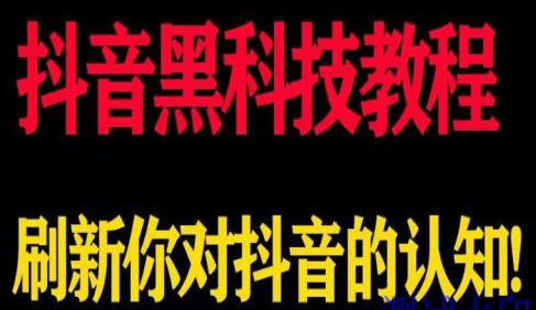 目前最火的网红是谁,抖音网页版入口登录链接地址,q币免费充值工具在哪 -影视会员业务下单